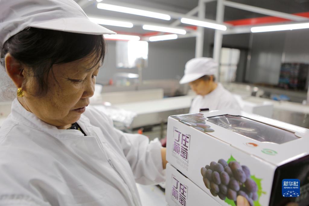 存10送38彩金白菜